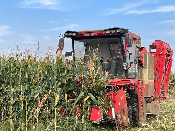 雷沃收割机型号 雷沃收割机型号